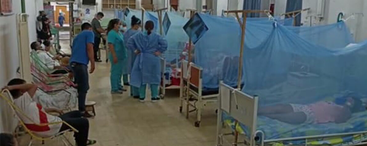 Tres fallecidos por dengue en Loreto