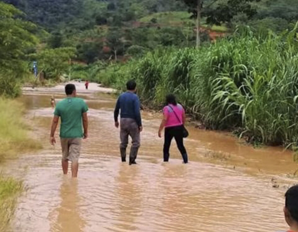 Reportan más de 10 mil hectáreas de cultivo perdidas en Piura