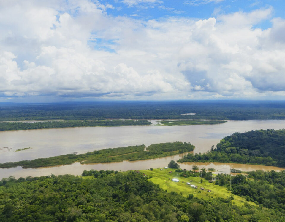 reducir la deforestación para desarrollar la Amazonía